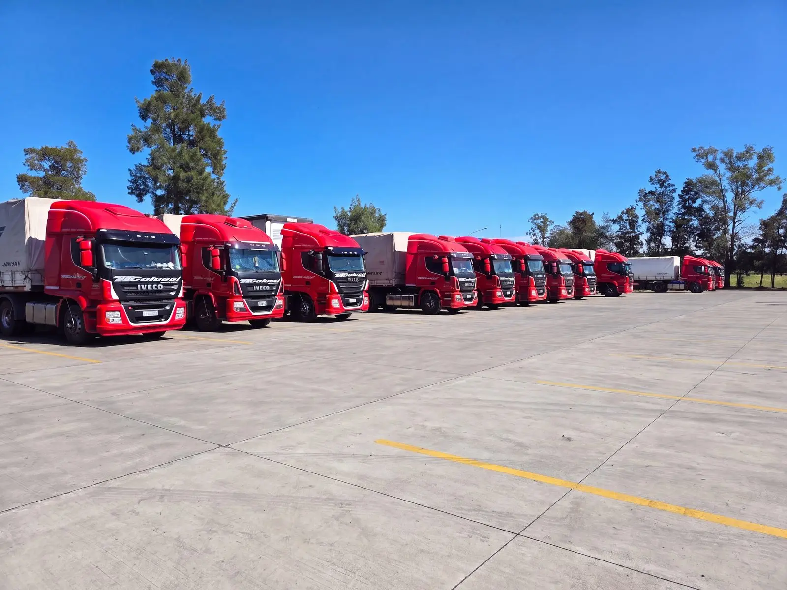 Formación de tractoras rojas de la flota propia de Transporte Colussi en el patio de operaciones